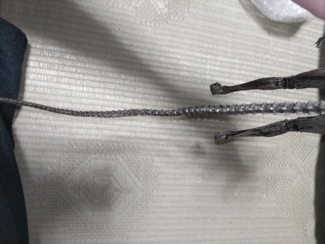 NECA ネカ　プロトモーフ　ゼノモーフ　エイリアンコヴェナント