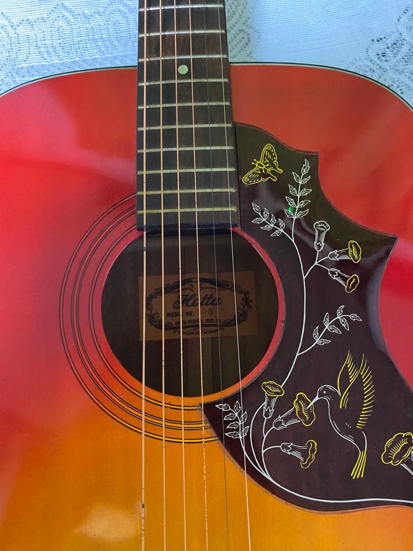 新春特価カントリーしようぜ！ ハミングバードHOTTAエレアコ音出し良好！