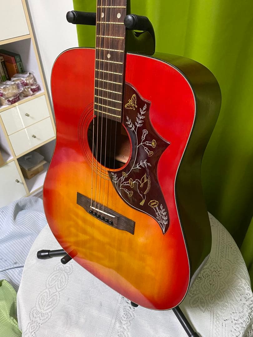 新春特価カントリーしようぜ！ ハミングバードHOTTAエレアコ音出し良好！