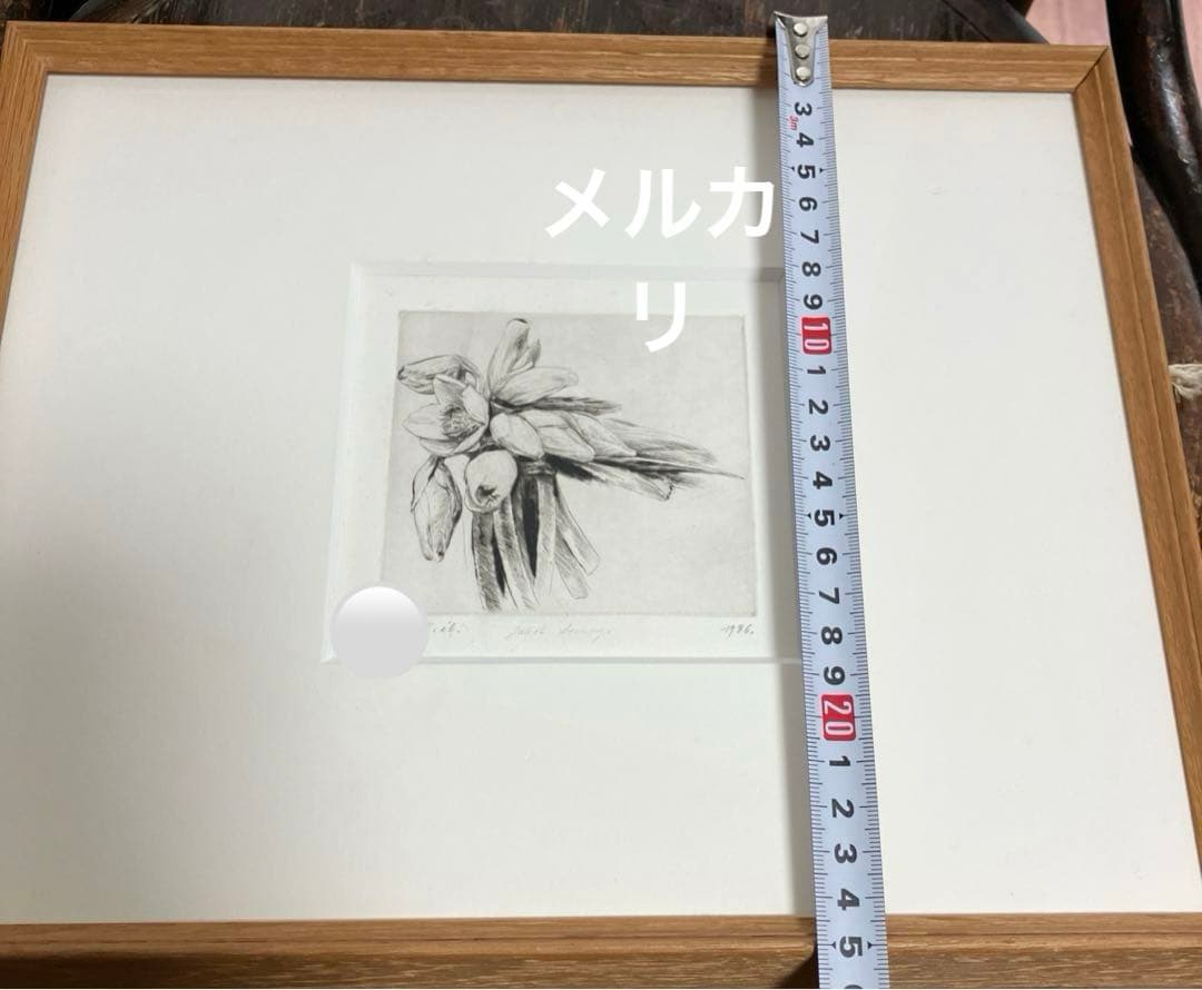 Jakob Demusダイヤモンドドライポイント技法エッチング　ボタニカル画②