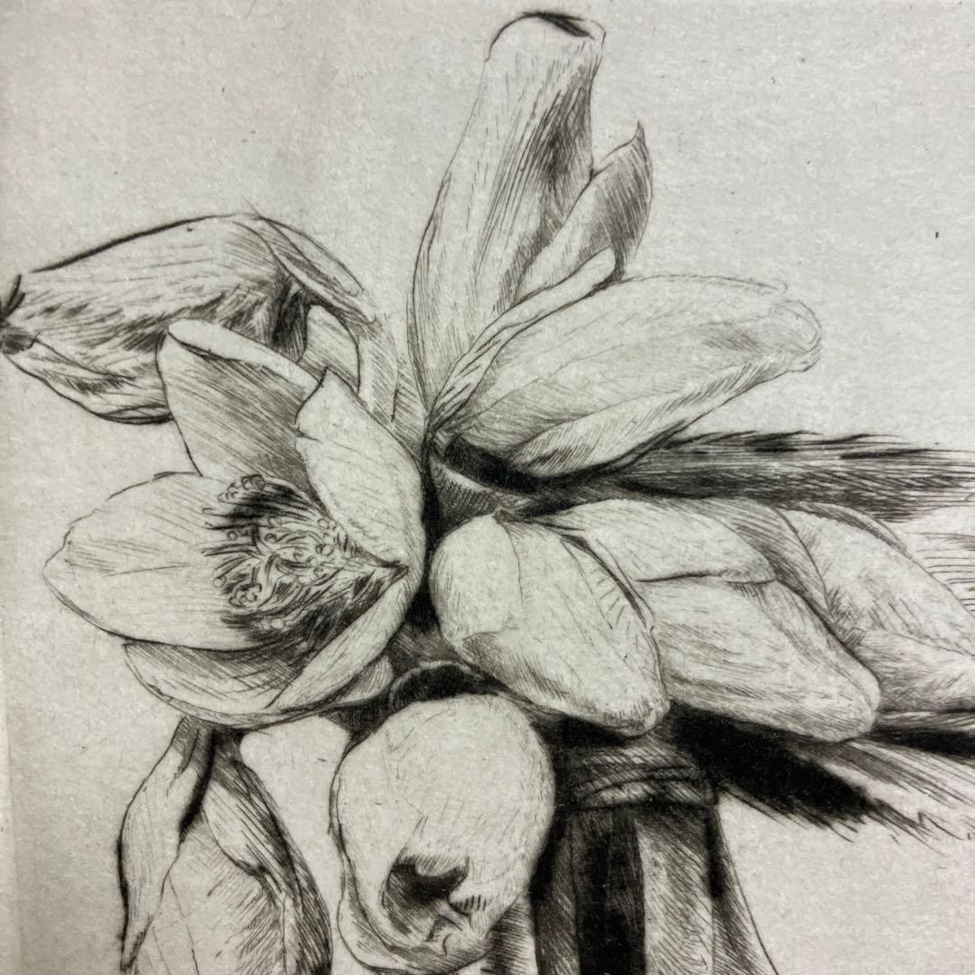 Jakob Demusダイヤモンドドライポイント技法エッチング　ボタニカル画②