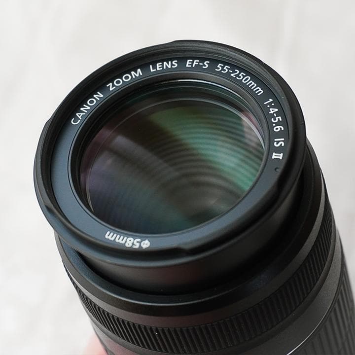Canon 望遠レンズ EF-S55-250mm F4-5.6 IS STM