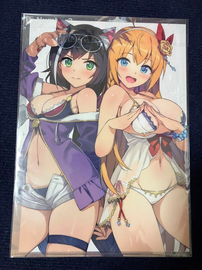 【非売品】プリンセスコネクト! ペコリーヌ A4 クリアファイル