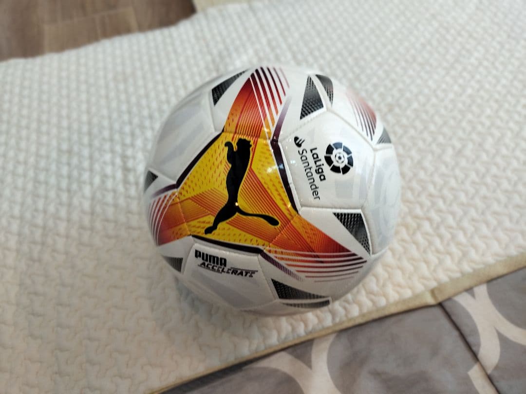 ILYAさん専用　サッカーボール 5号球　5個