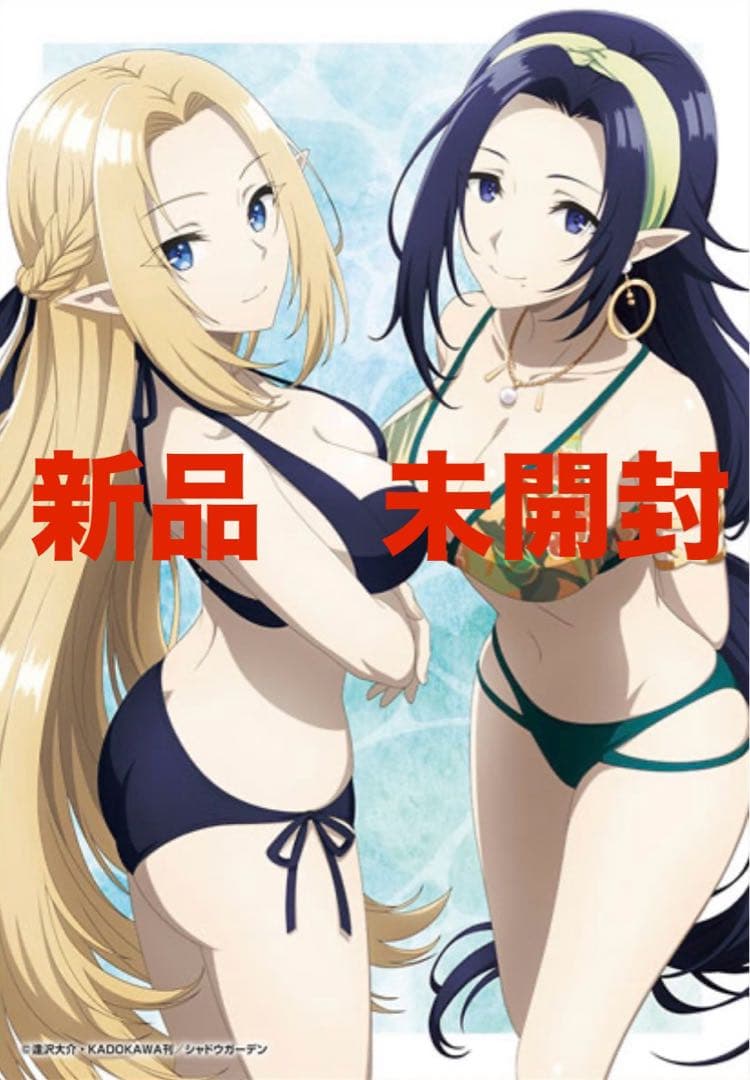 TVアニメ　陰の実力者になりたくて！　キャンバスアート　新品　未開封