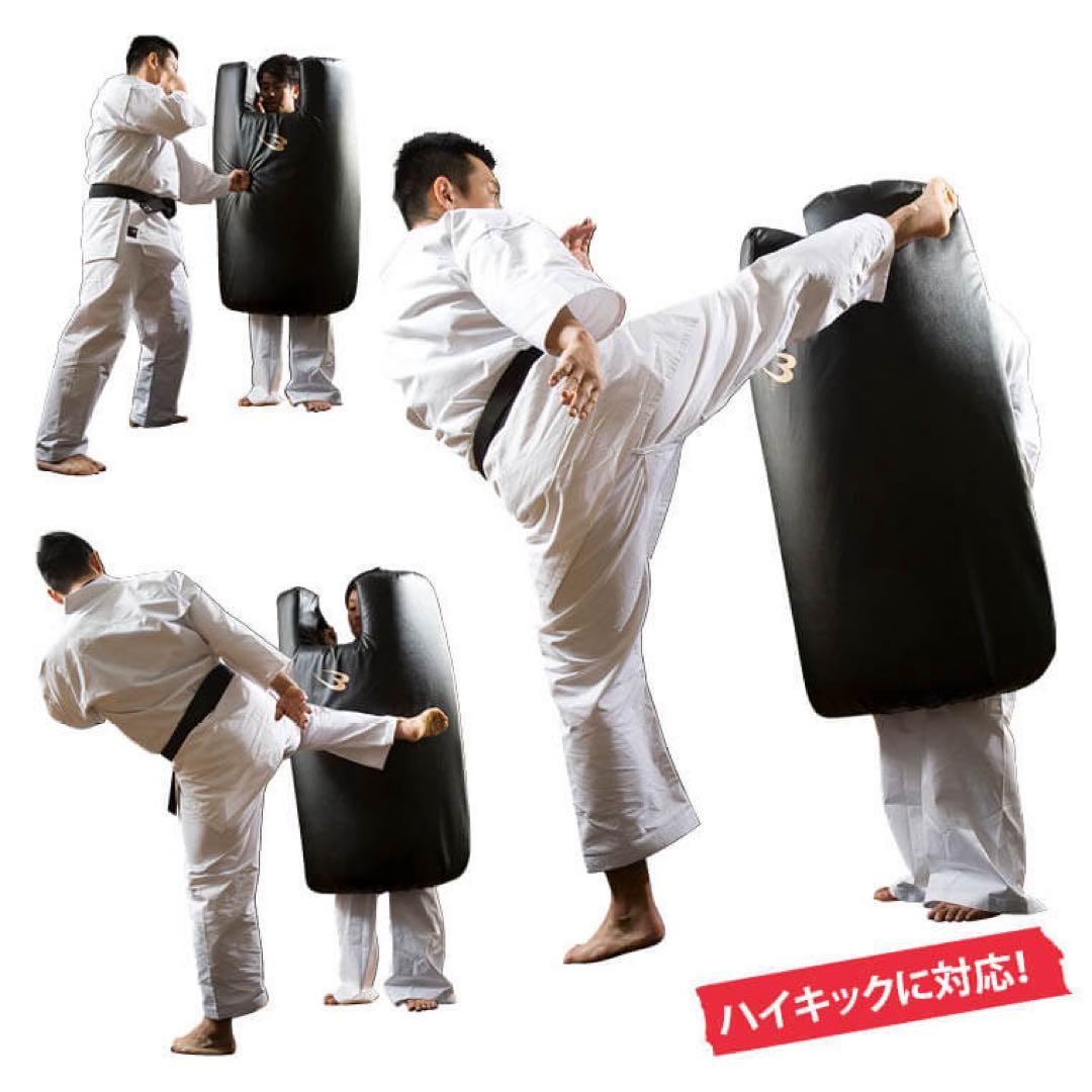 BODYMAKER(ボディメーカー)　シールドミット　空手　キックボクシング