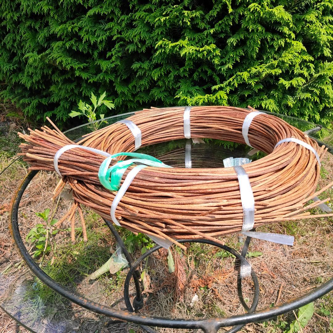 青森県岩木山採取　あけび蔓　150cm～　1kg