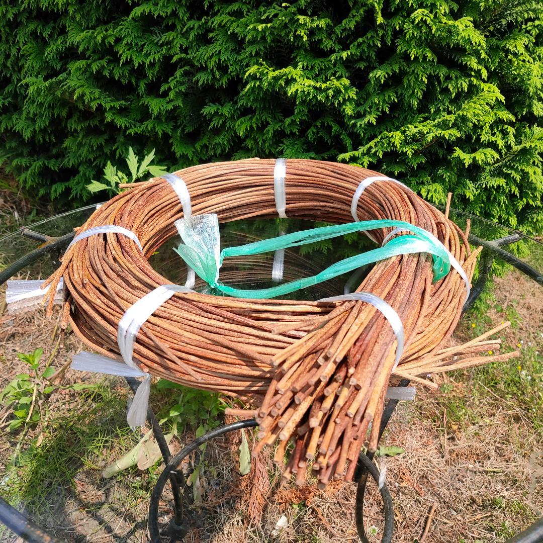 青森県岩木山採取　あけび蔓　150cm～　1kg