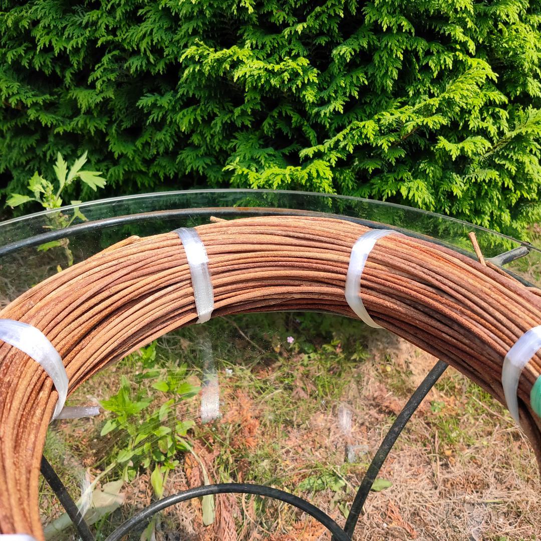 青森県岩木山採取　あけび蔓　150cm～　1kg