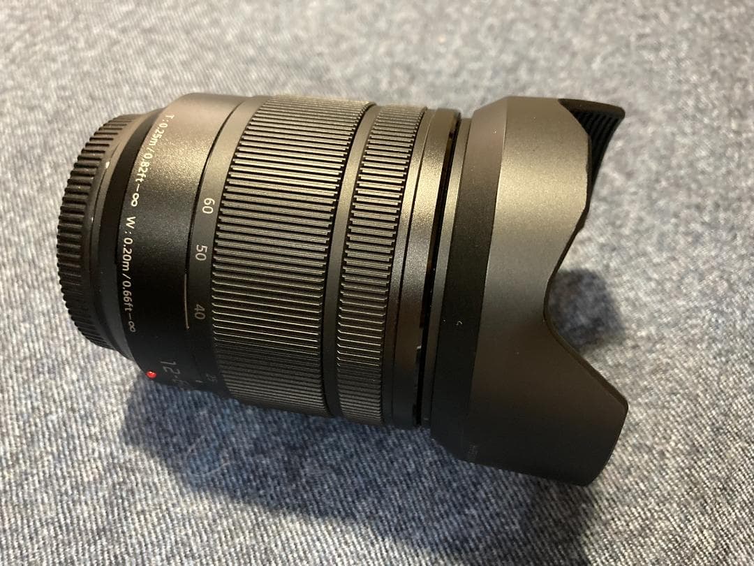 パナソニック LUMIX G VARIO 12-60mm F3.5〜★M4/3