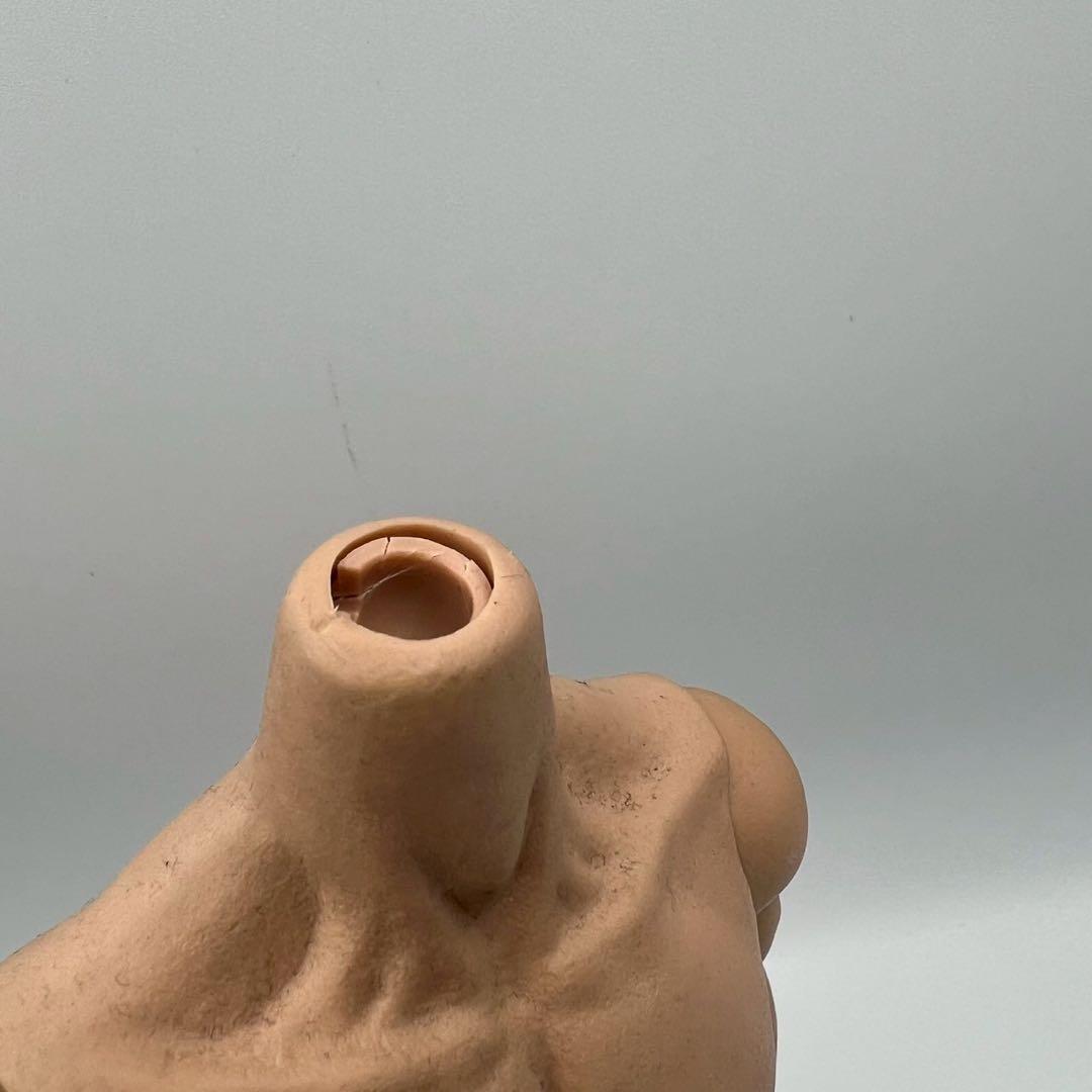 ホットトイズ　1/6　ターミネーター　T-800　検　素体　首クラック