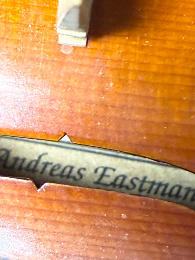 ●Eastman violin●バイオリン VL80 1/2