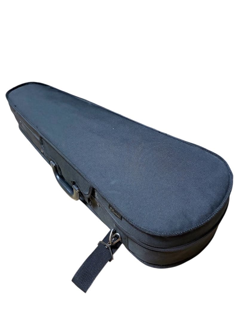 ●Eastman violin●バイオリン VL80 1/2