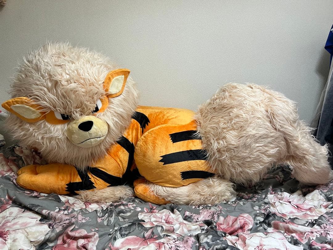 【24時間以内発送】添い寝 ウインディ