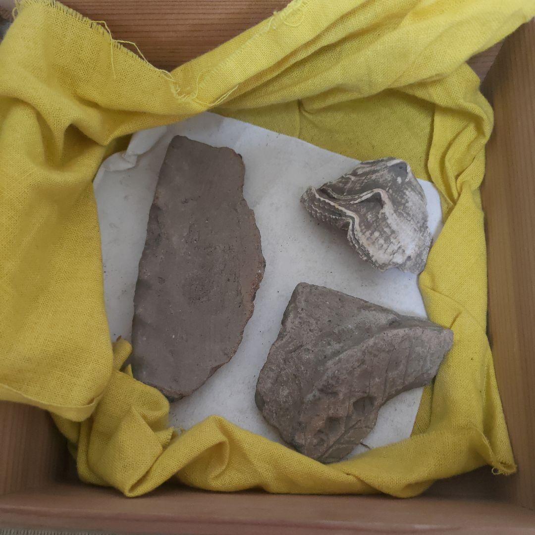 縄文式土器化石　朝日遺跡3点【本物】