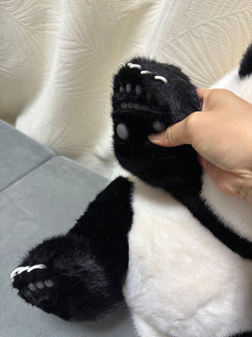 パンダのぬいぐるみ 中型