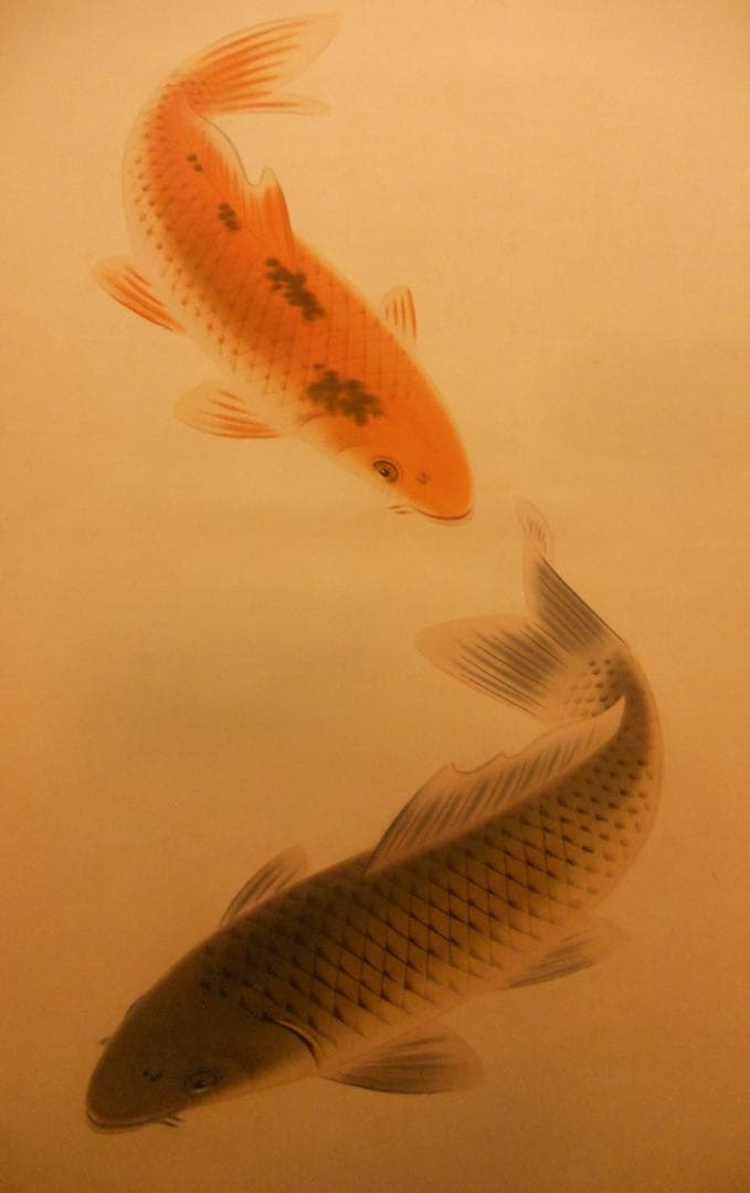 掛け軸 長田青閑 『 鯉 』 絹本 希少 軸装 茶道具 掛軸 美品 です。