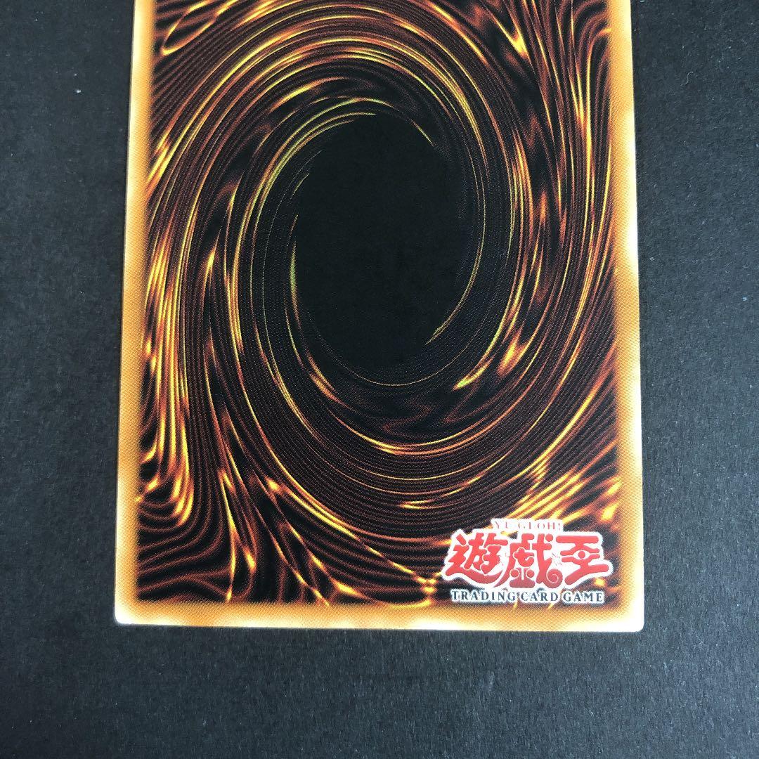 SERPENT NIGHT DRAGON (旧アジア版英語表記)