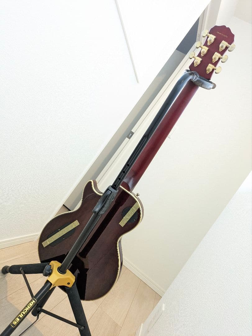 ギター Epiphone Les Paul Custom Prophecy GX