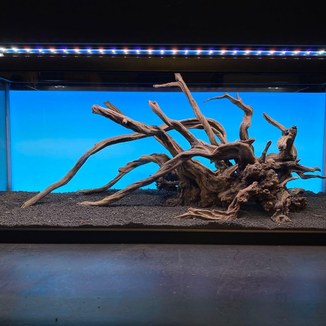 MSRW-6735 天然流木レイアウトセット　スリムウッド　アクアリウム
