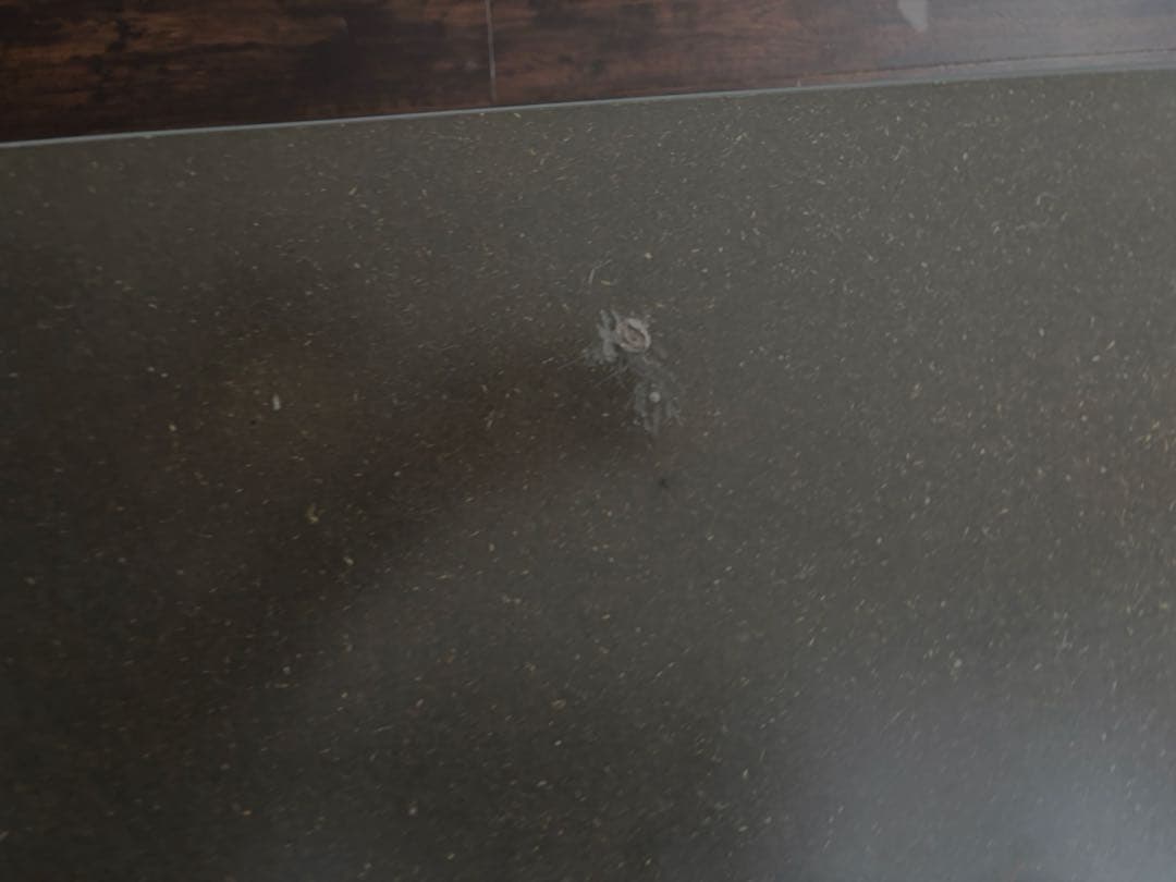 トーネット　無印良品 superman