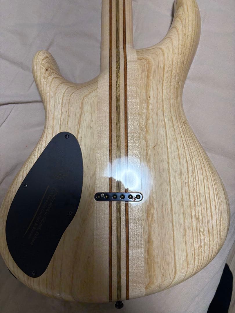 ギター mayones regius 6