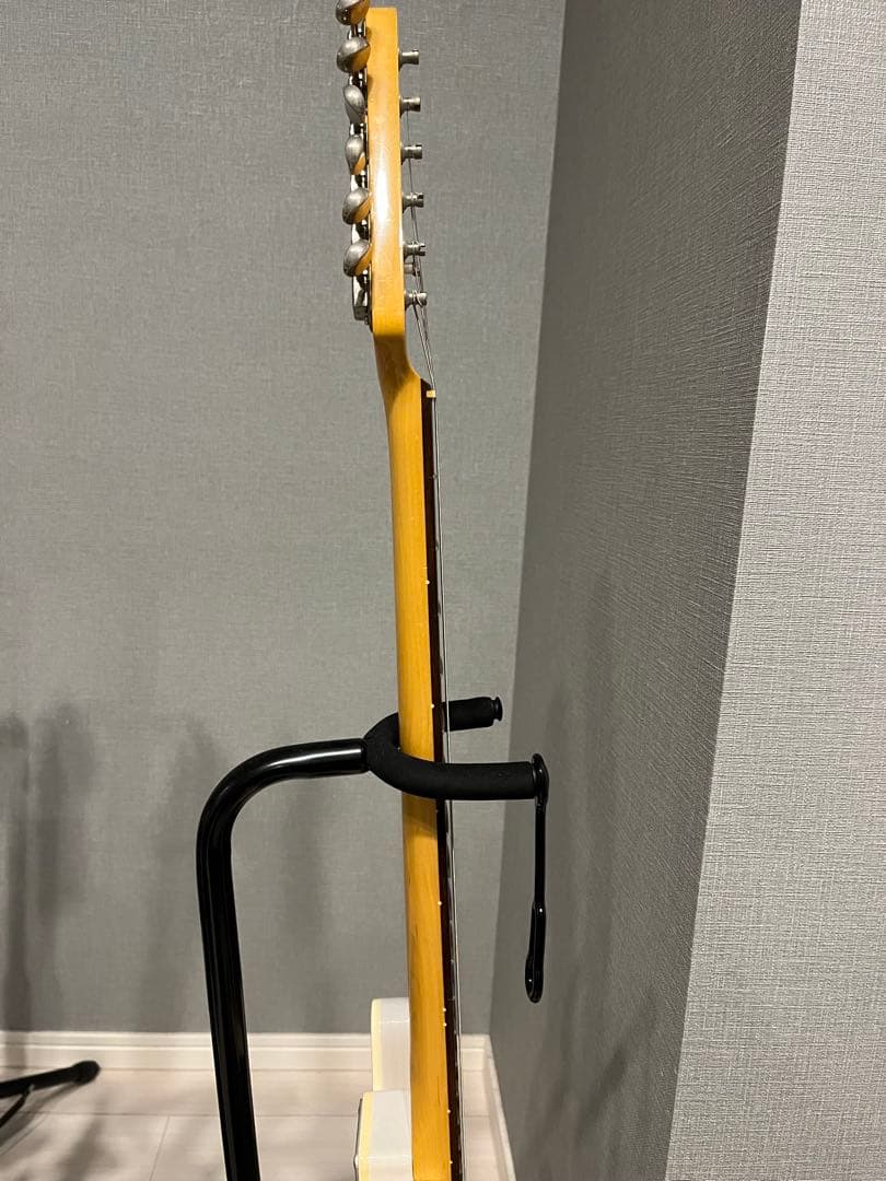 FUJIGEN NTL21RAH-WB/01 テレキャスター