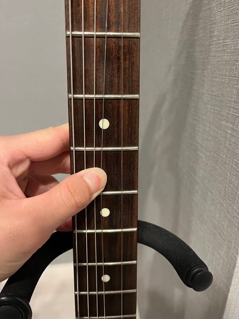 FUJIGEN NTL21RAH-WB/01 テレキャスター