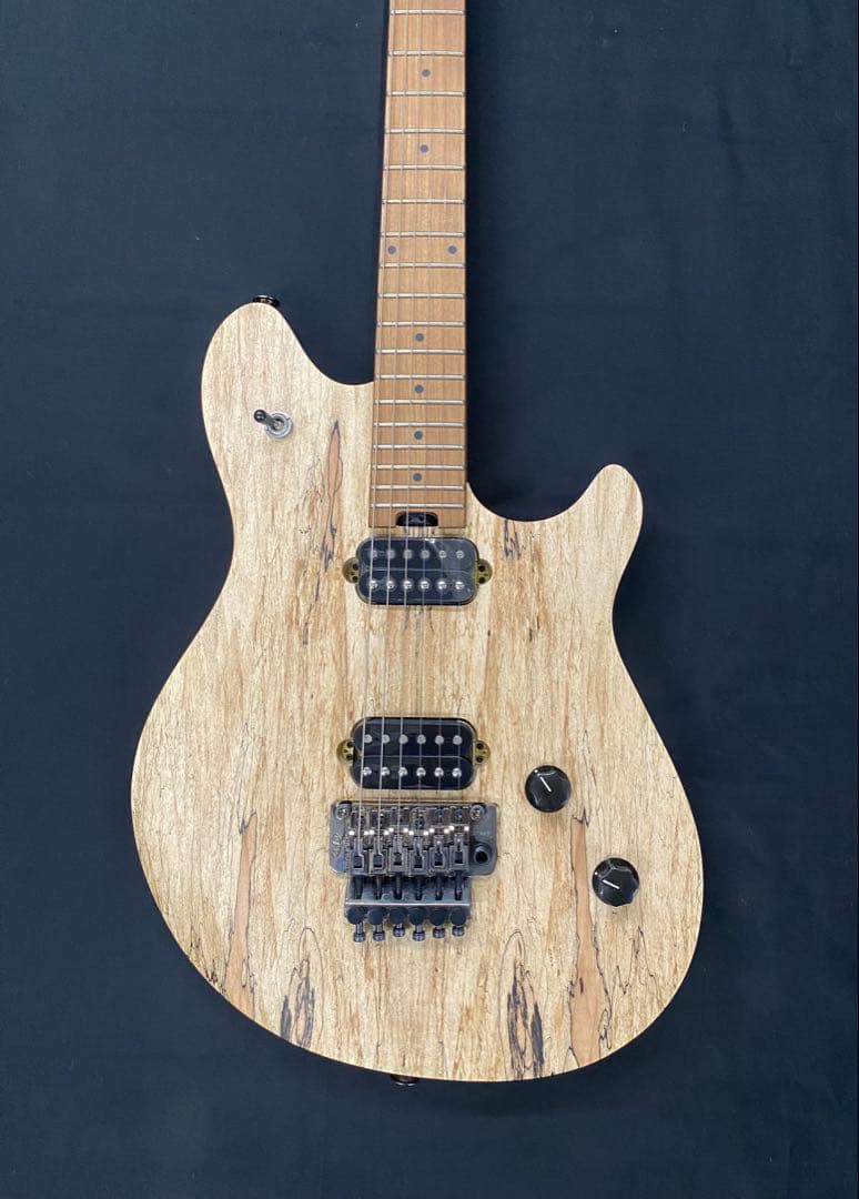 EVH エレキギター★ソフトケース付★