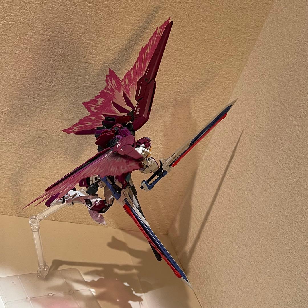 【組立・墨入れ済】RGデスティニーインパルスガンダム＆光の翼（プレバン）