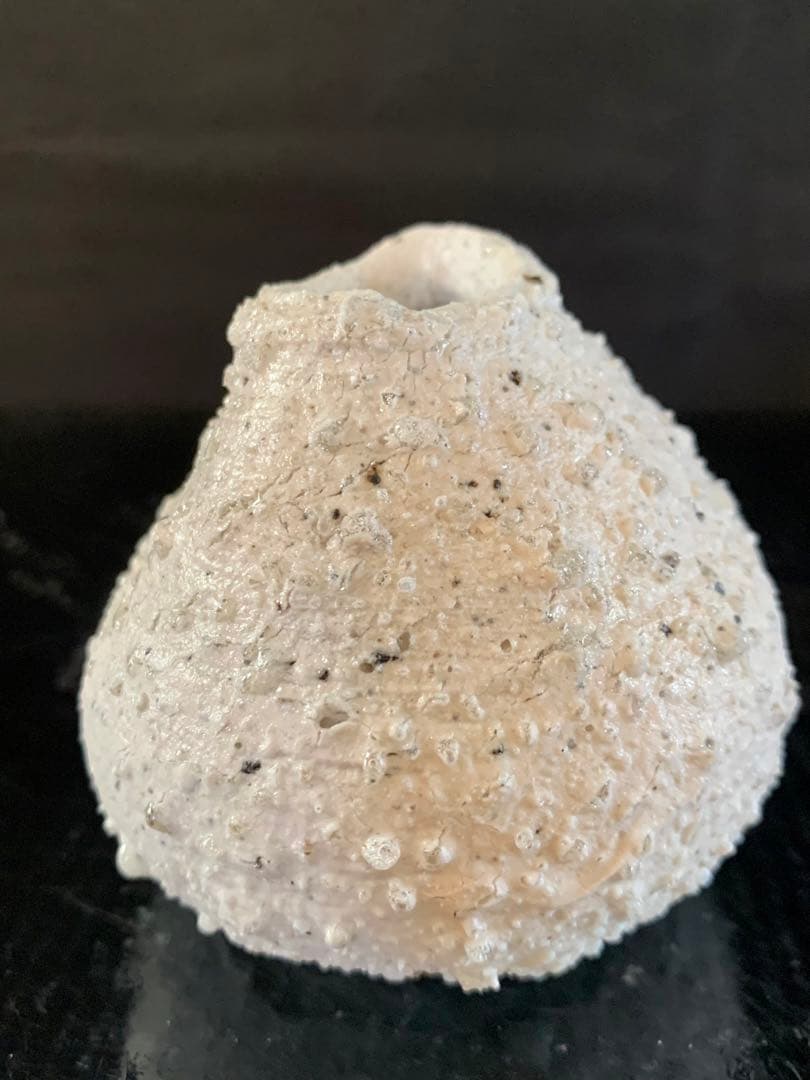 辻村史朗　白信楽小壺　A