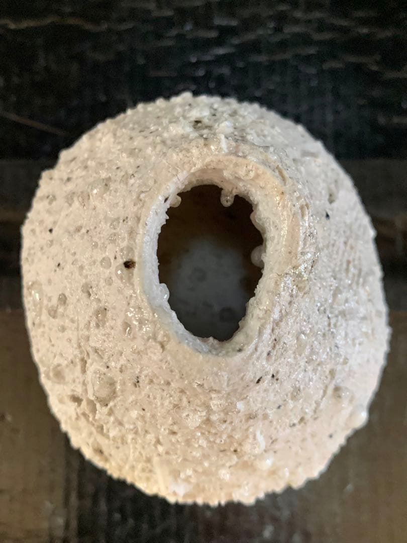 辻村史朗　白信楽小壺　A