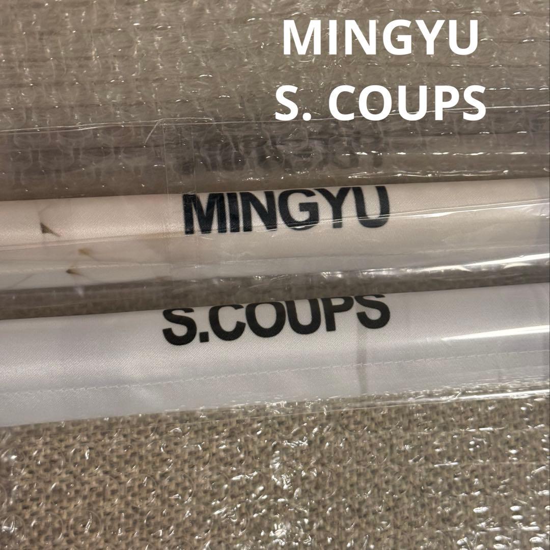 SEVENTEEN セブチ NEW タペストリー ギュチョル 文化祭 輪投げ