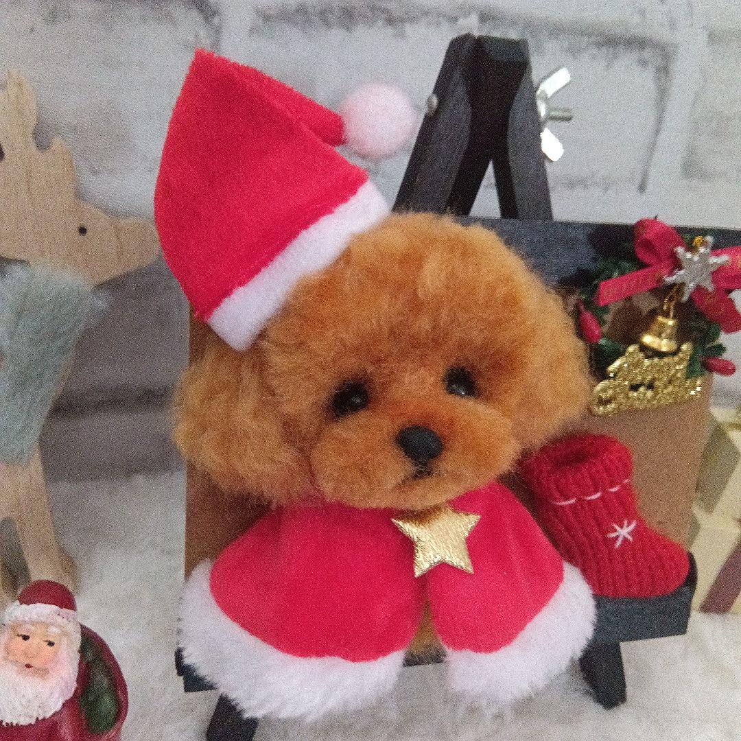 羊毛フェルト　トイプードル　もも　３点おまとめ