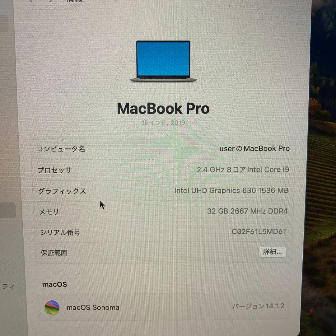 Apple MacBook Pro Core i9 ノートパソコン （B7）