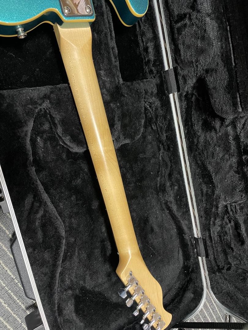 Bacchus universe series テレキャスター