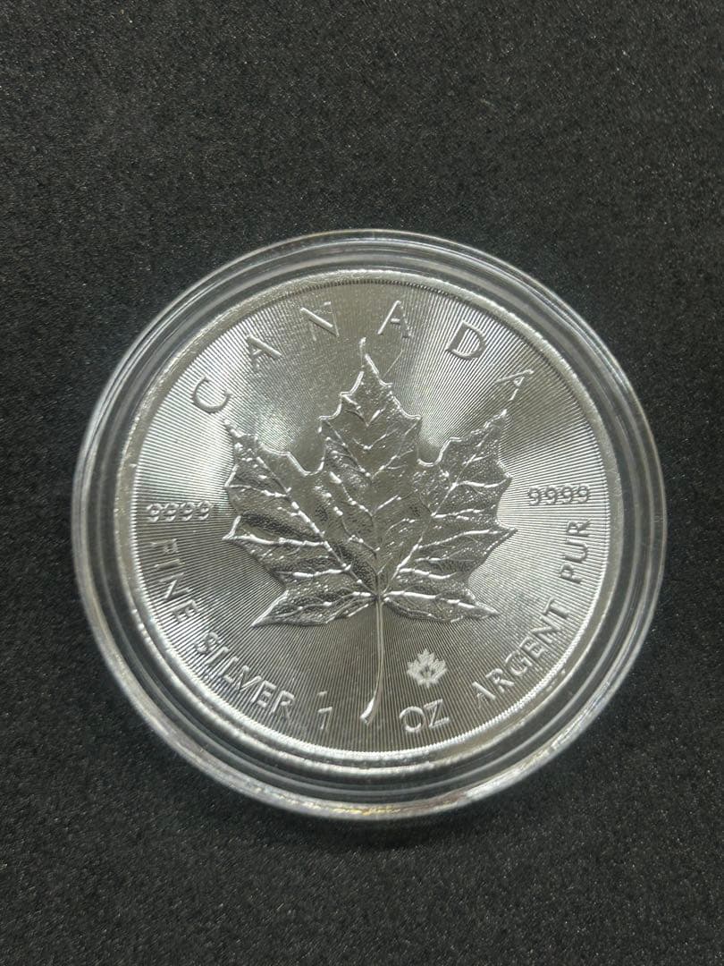 カナダ メープルリーフ 1オンス銀貨 2019年　ランダム