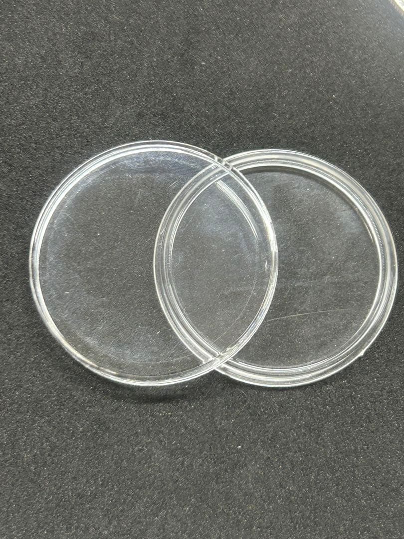 カナダ メープルリーフ 1オンス銀貨 2019年　ランダム