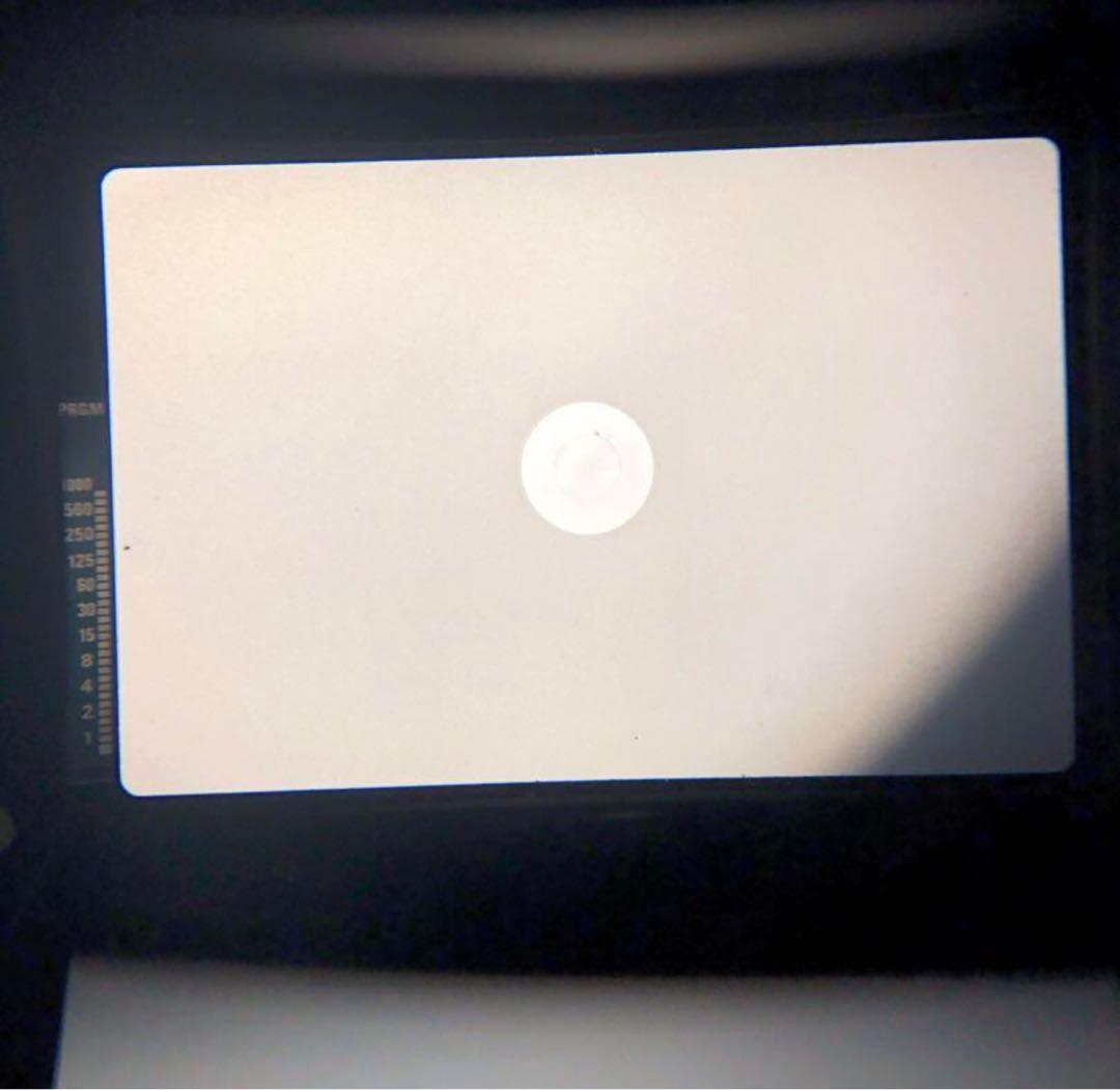 実写あり 極希少 OLYMPUS OM-2 SPOT/PROGRAM SP