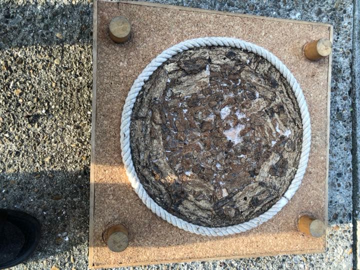 クワガタ、カブト　バトル用土俵