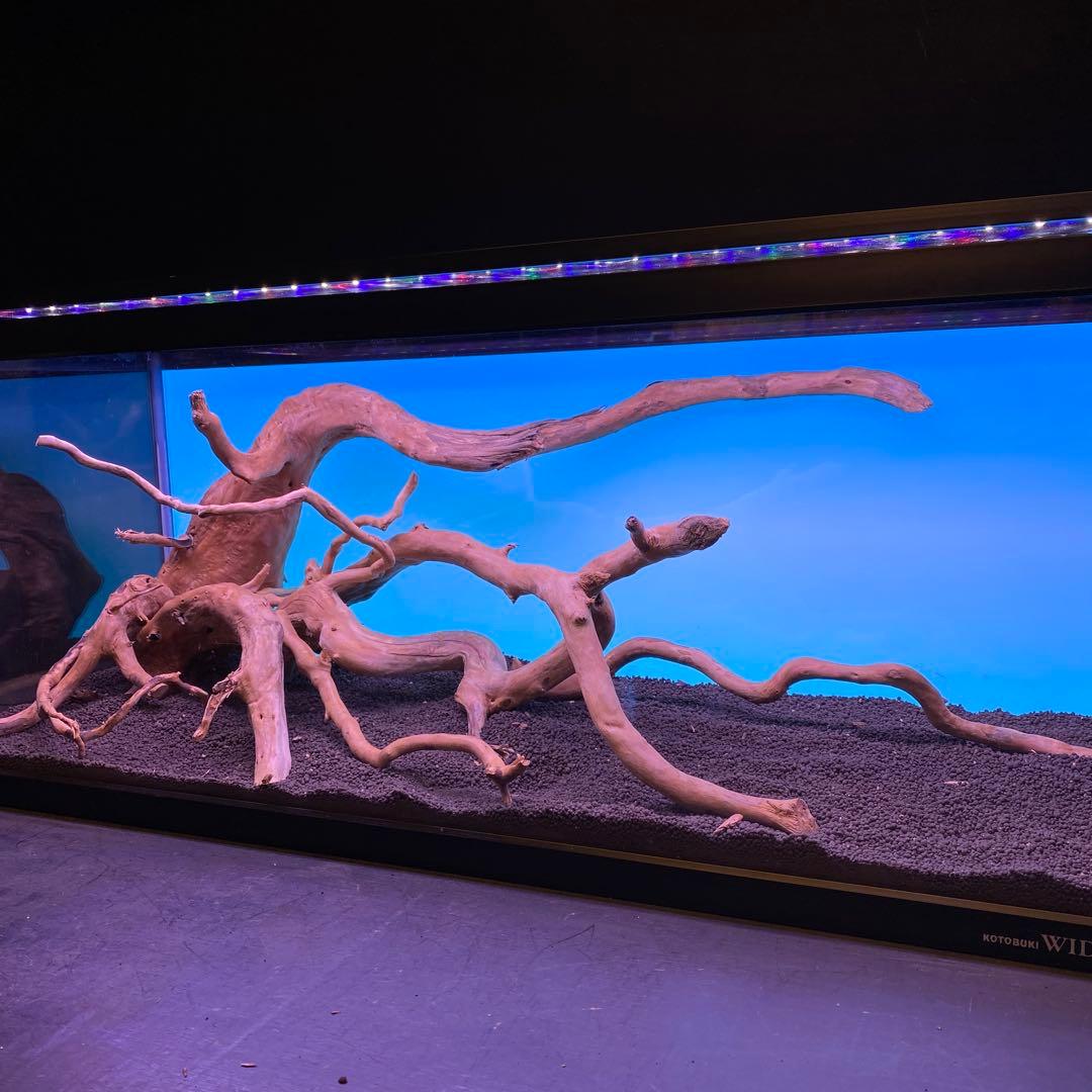 MDW-6678 ブランチウッドレイアウトセット　90cm水槽用流木　枝流木