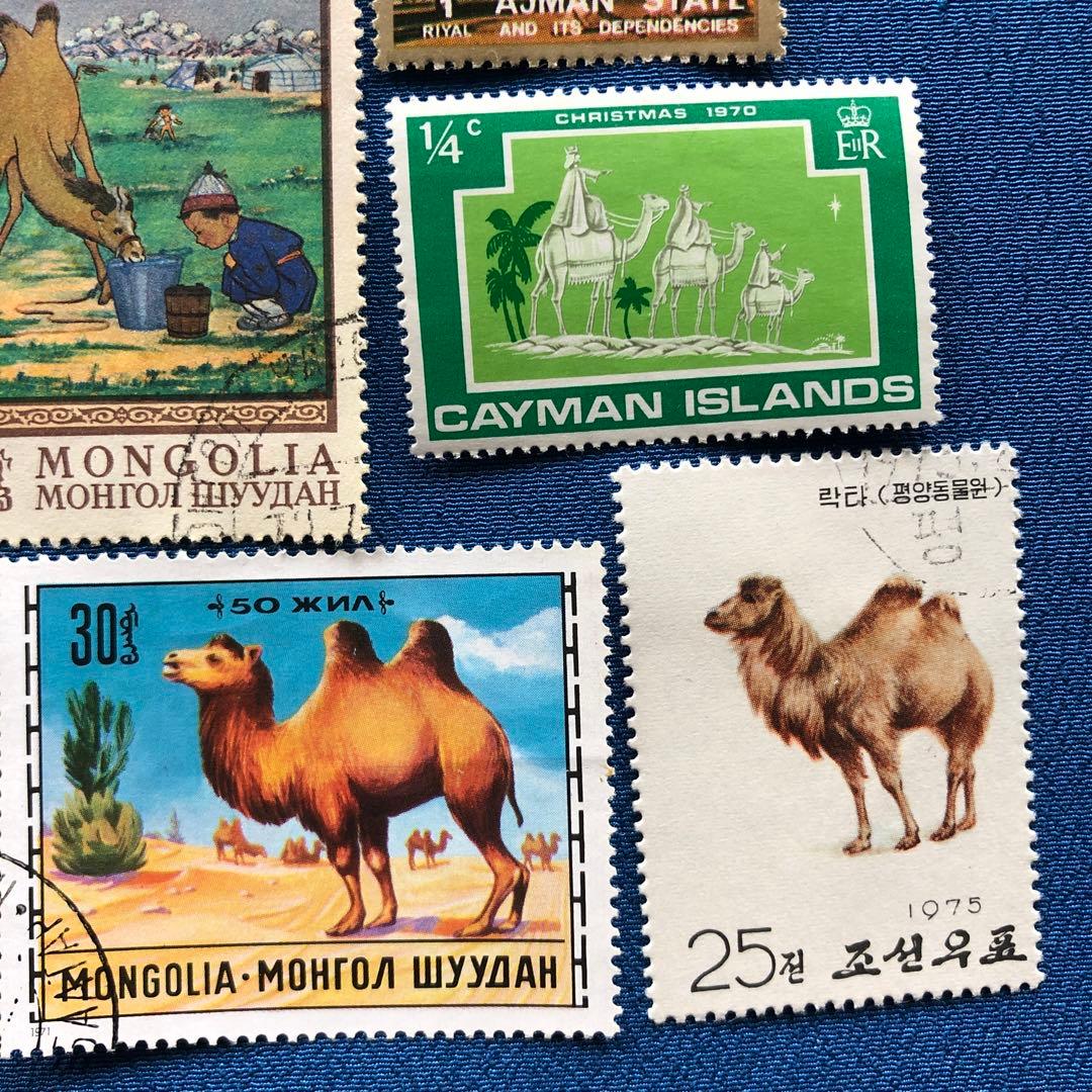 世界の駱駝（ラクダ）図柄の切手１０種　うちモンゴルが４種　癒されます！
