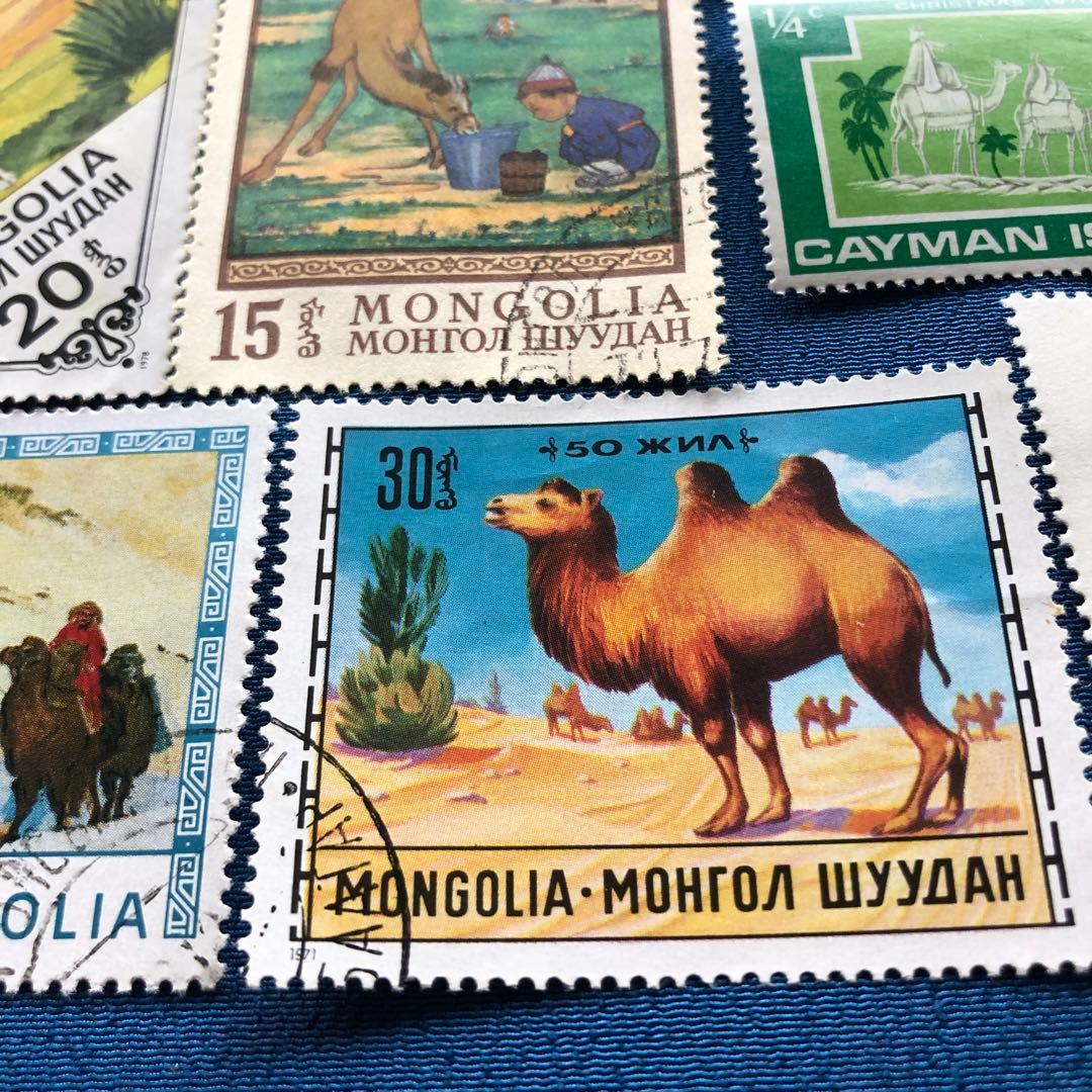 世界の駱駝（ラクダ）図柄の切手１０種　うちモンゴルが４種　癒されます！