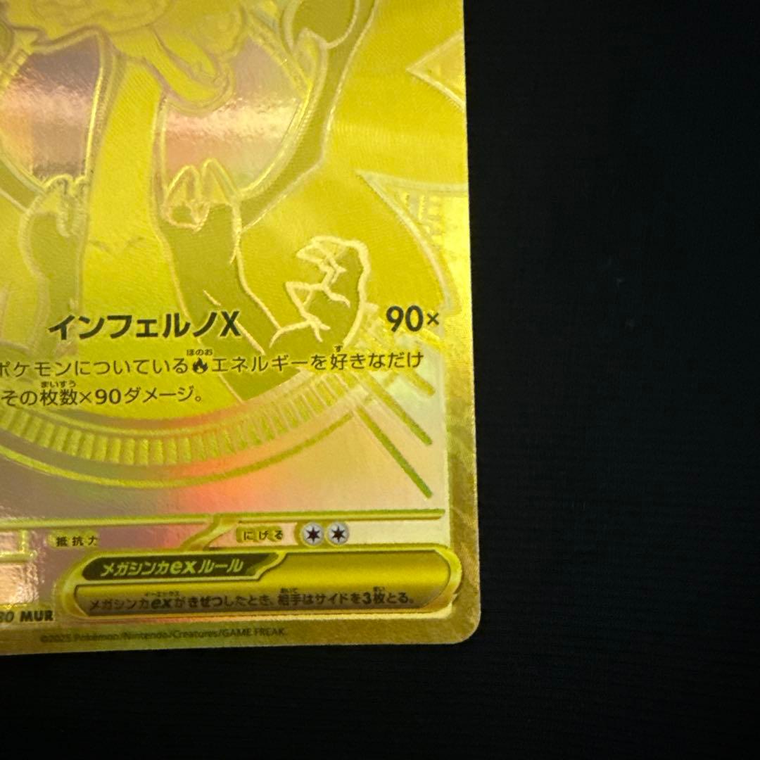 こ*く様 メガリザードン xeX mur m2 116/080