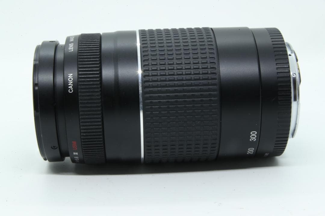 【L2431】 Canon EF 75-300 4-5.6 Ⅲ USM キャノン