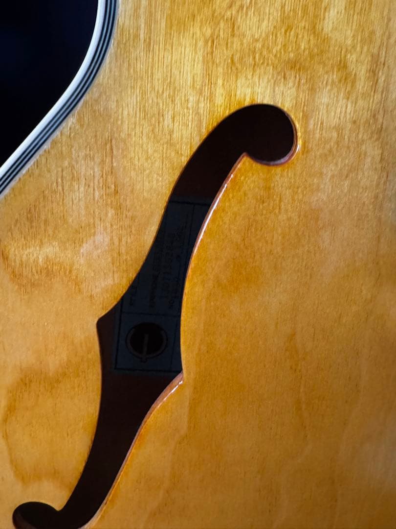 Epiphone 50Anniversary 1962 Sheratonセミアコ