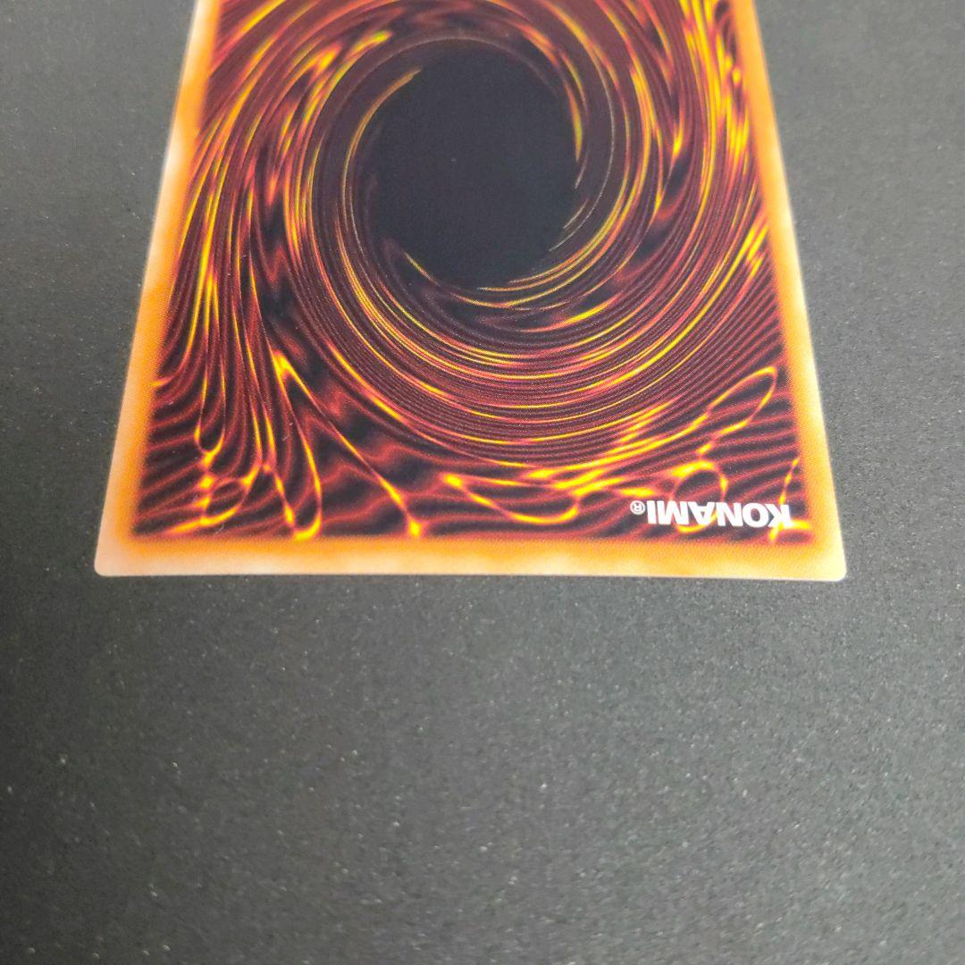 真紅眼の黒竜 ホロ　レッドアイズ