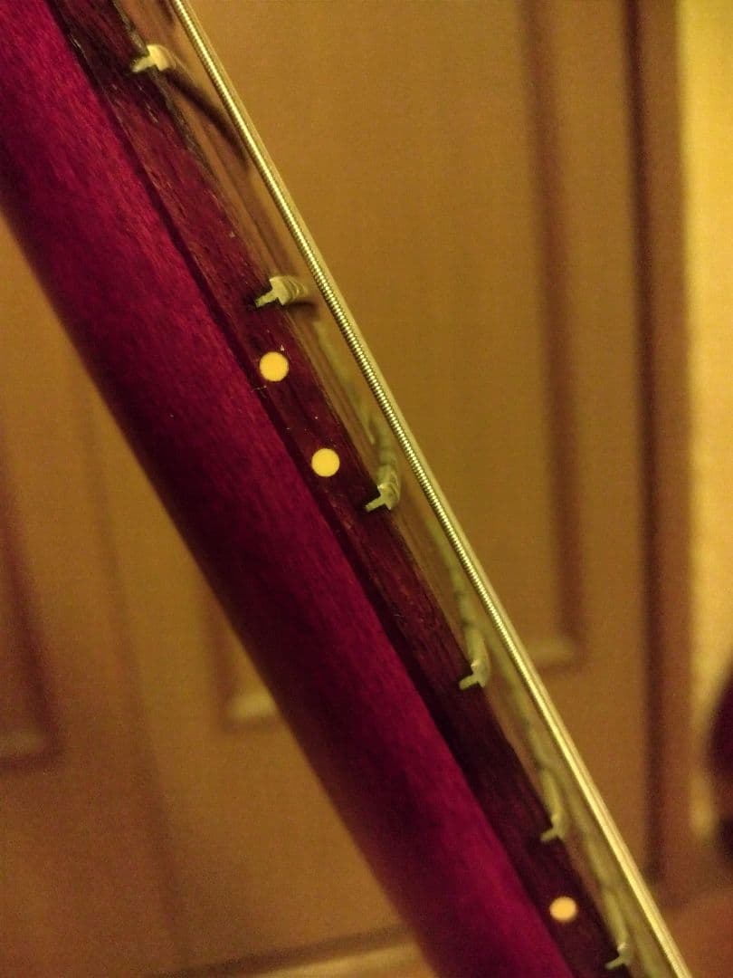 Gibson SGJ 120th ANNIVERSARY バーガンディ