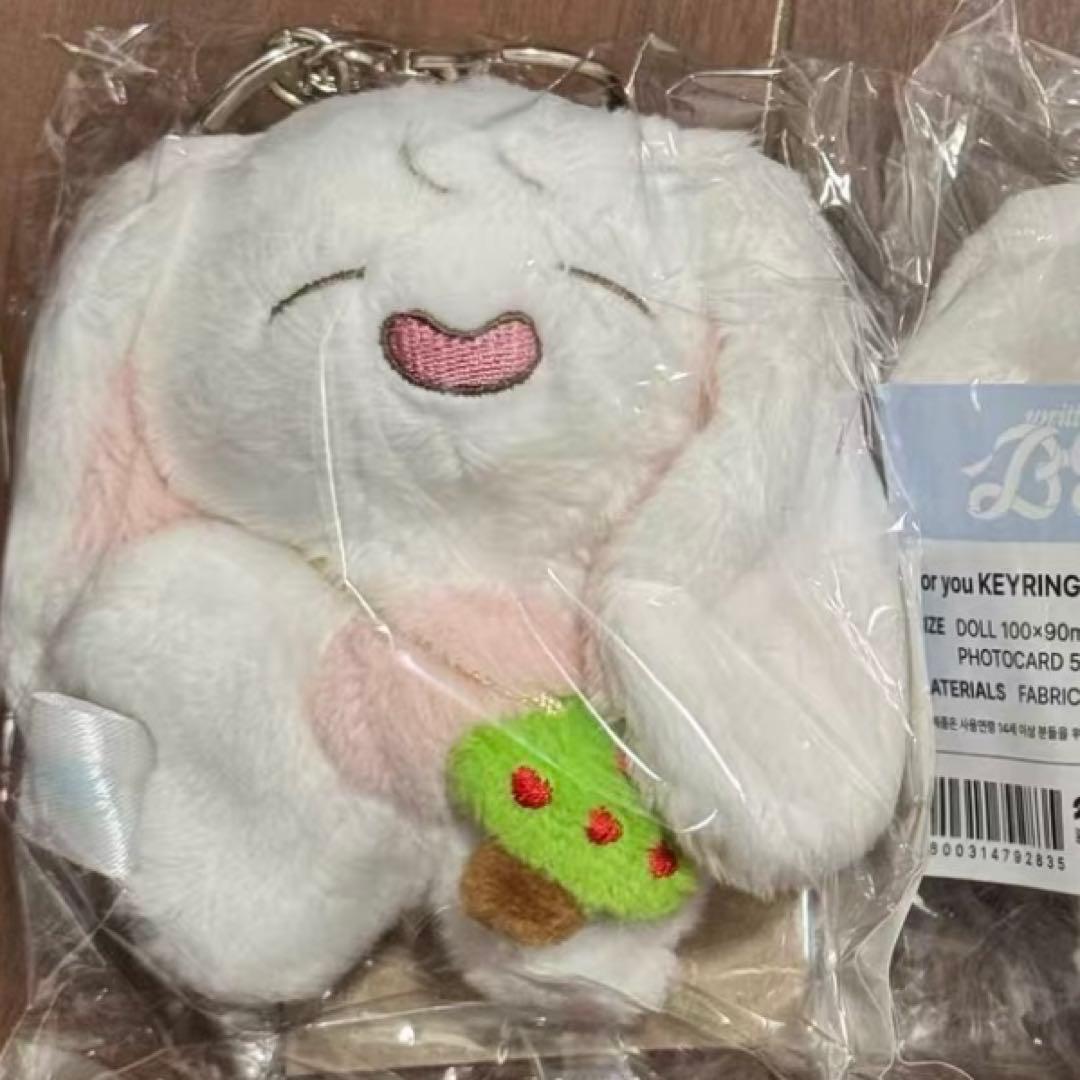 韓国　ファンミーティング fm ぬいぐるみ トレカセット　パクボヨン