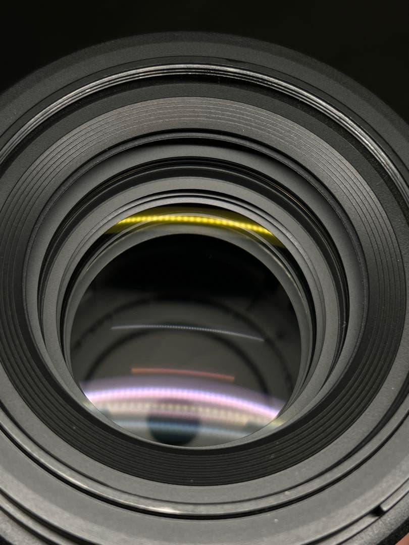 レンズ(単焦点) gizumo NIKKOR Z MC 105mm f/2.8 VR S